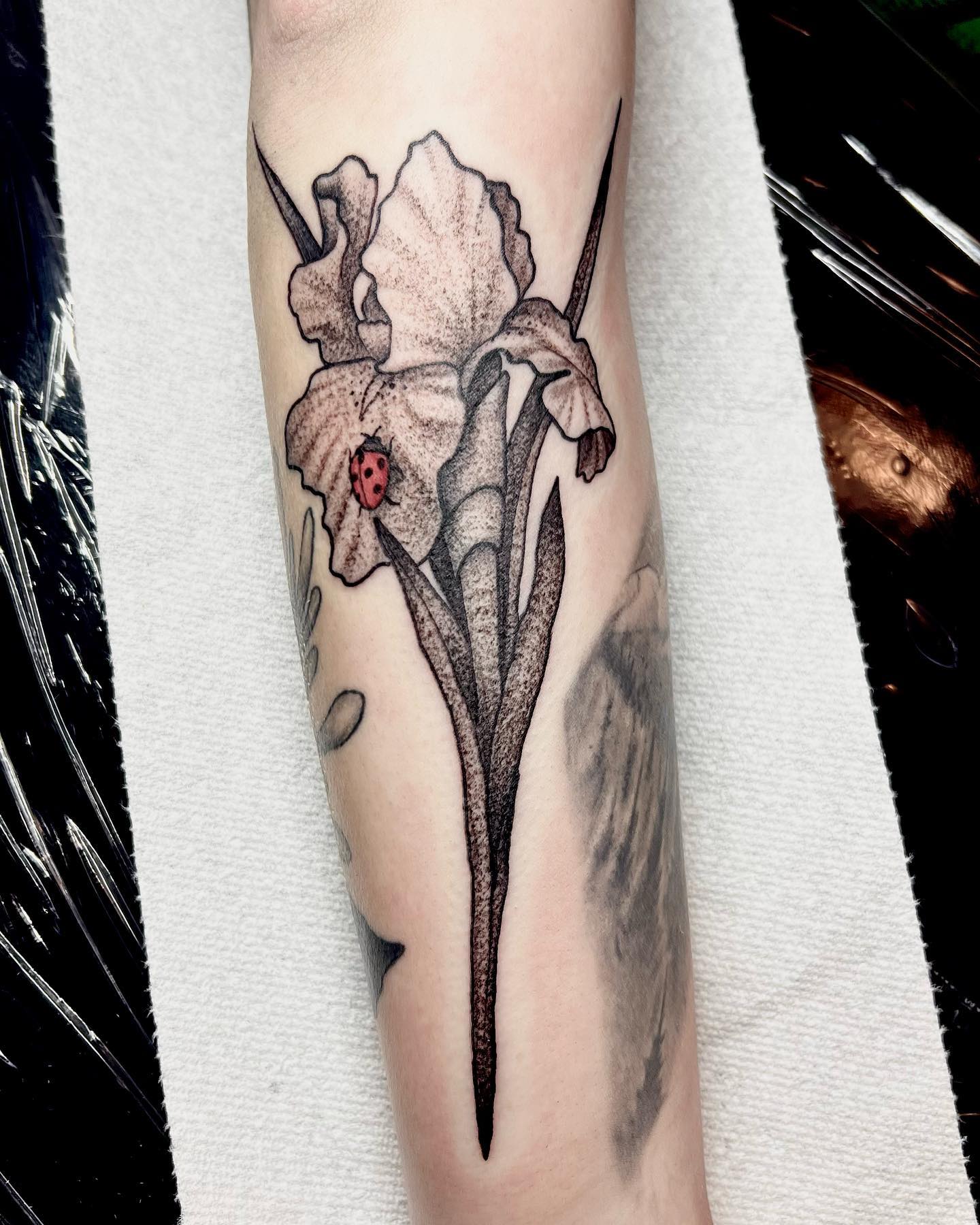 Black Ink Iris Tattoo Design