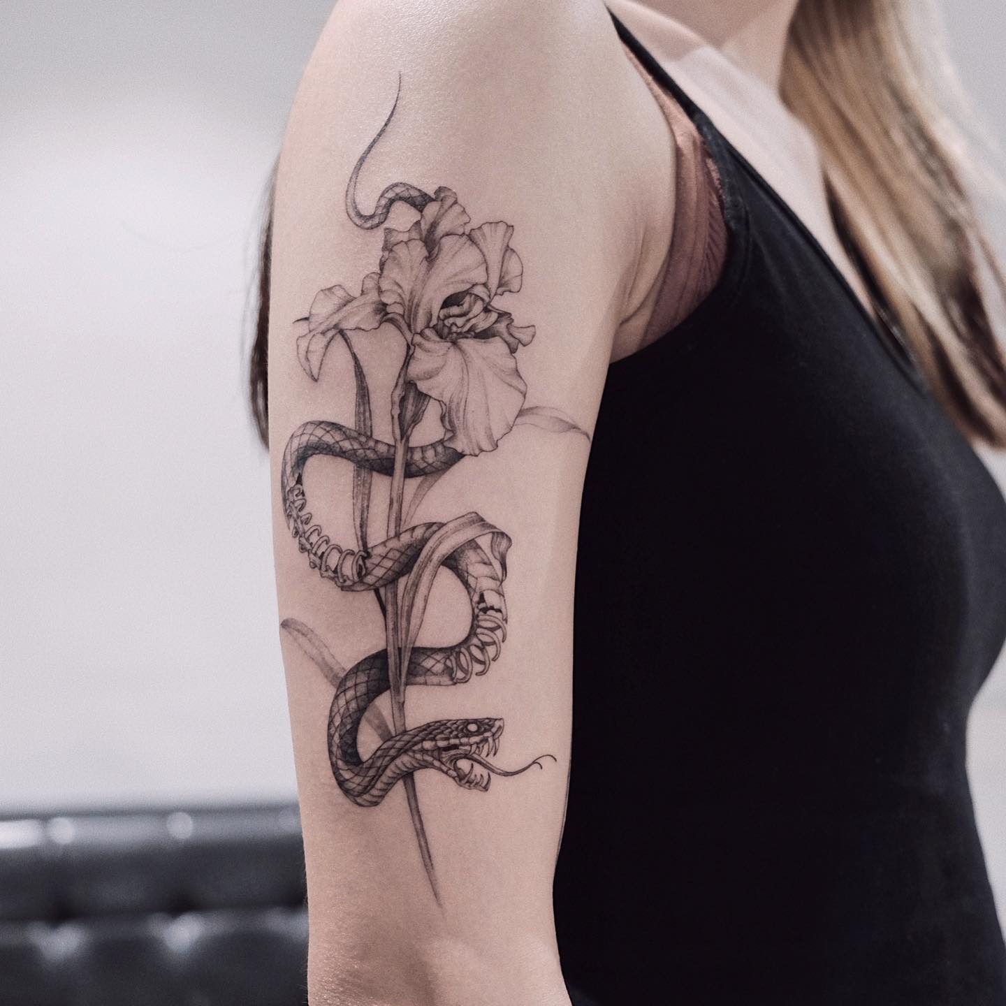 A snake entwined with iris flower