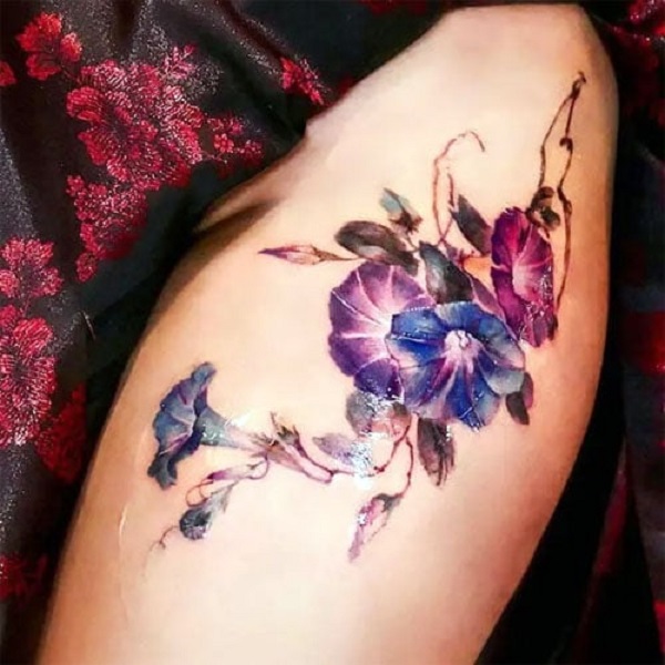 Beautiful violet flowers