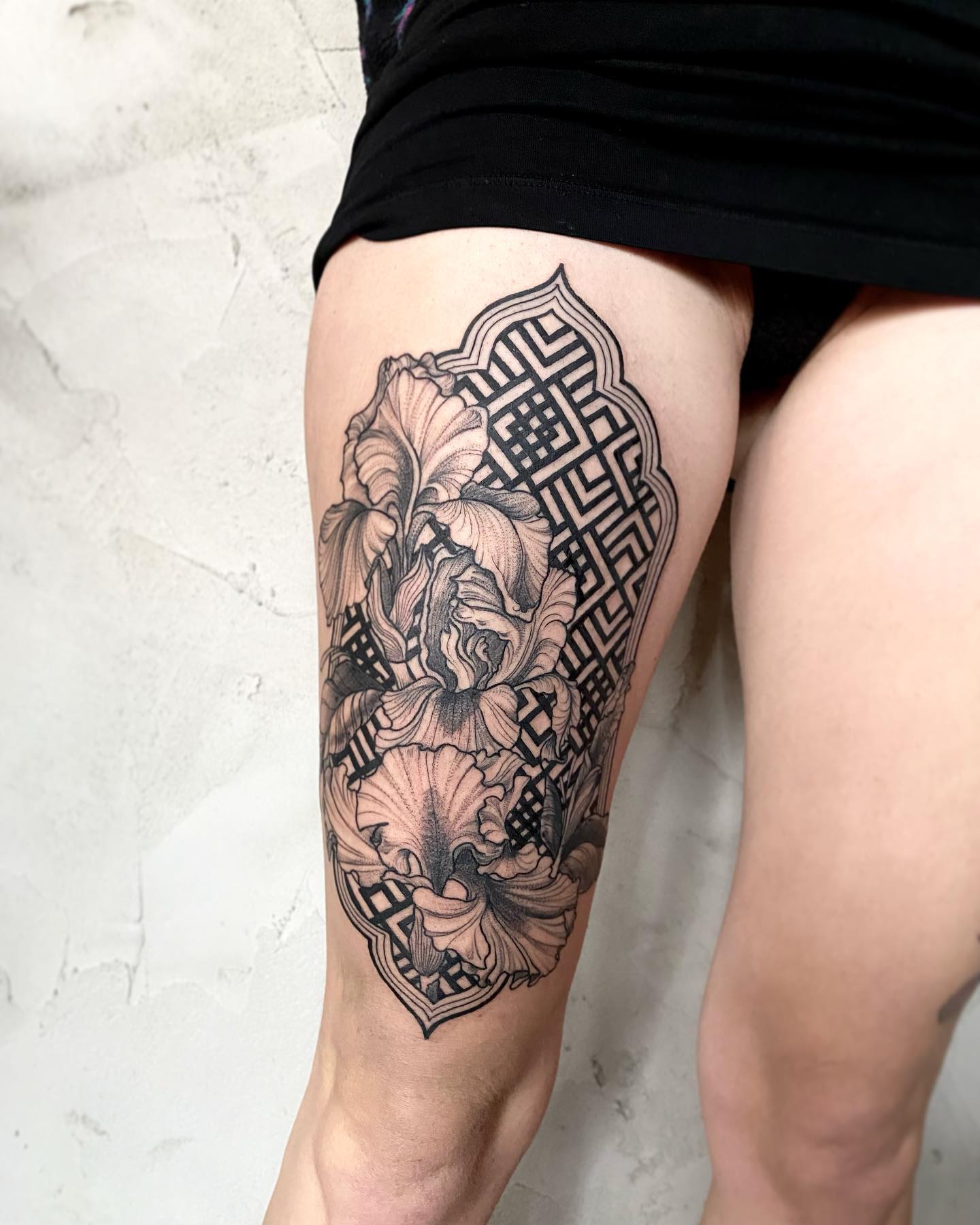 Black and white iris on net pattern background