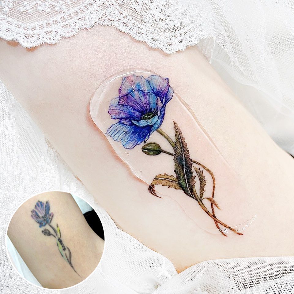 Blue iris with green leaves