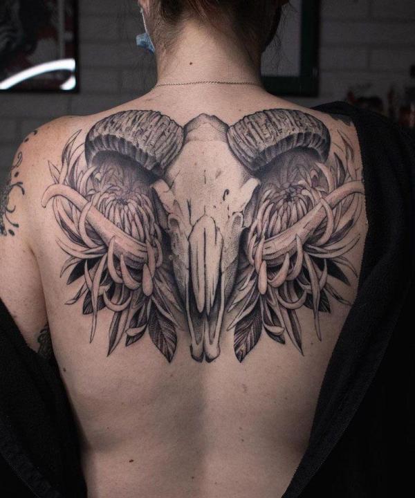 Ram skull rams head drawing tattoo idea | Ram tattoo, Animal skull tattoos, Ram  skull