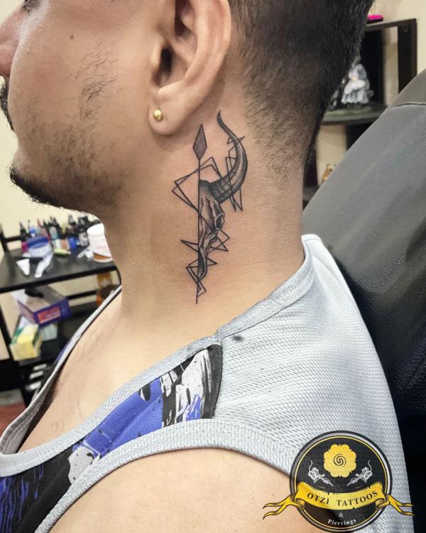 Half Taurus head and line constellation