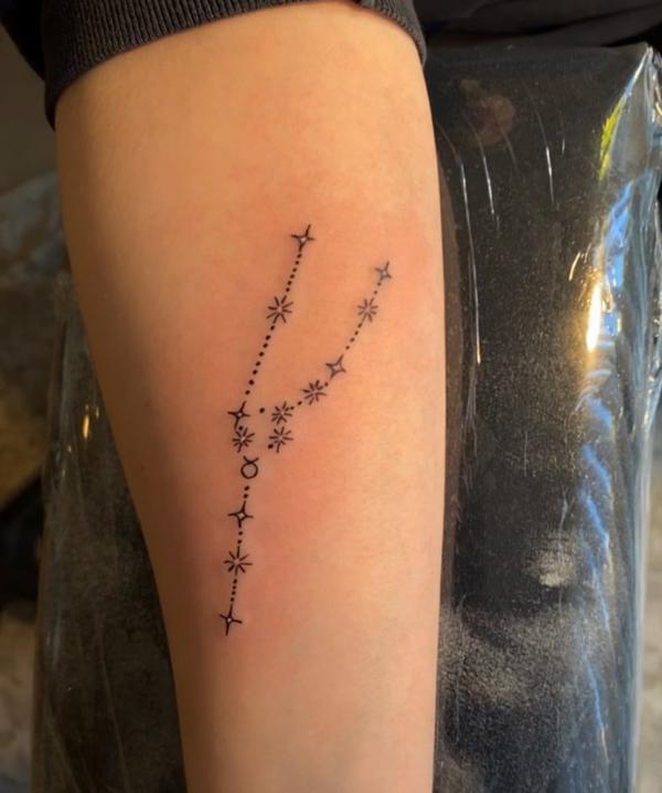 Pin on Zodiac Signs  Astrology