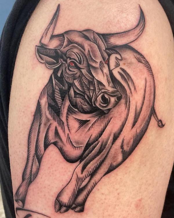 Muscular Bull in Action