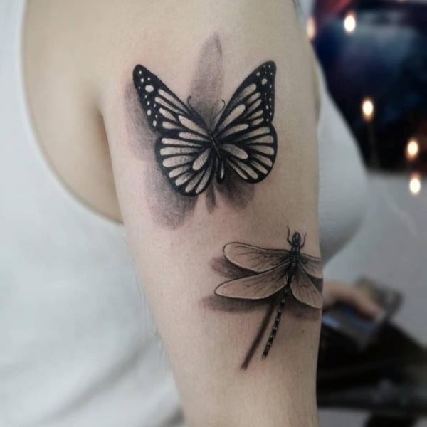Realistic Butterfly and dragonfly