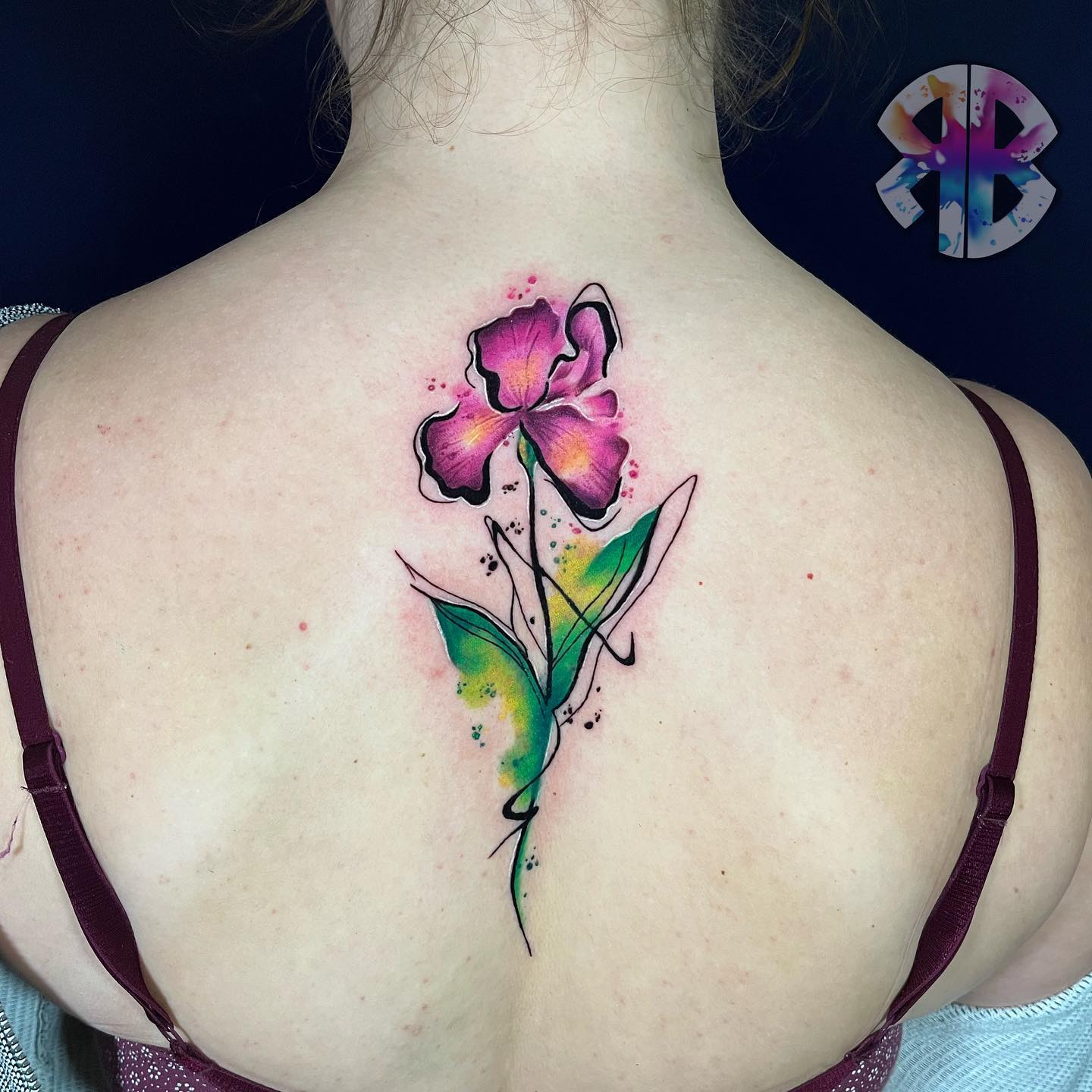 Red iris flower and green leaves