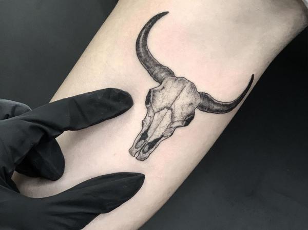 Small Bull Head