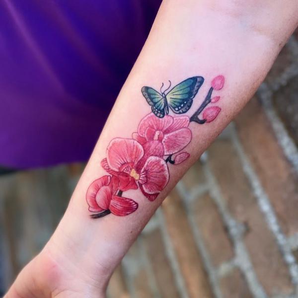 A blue butterfly flying over pink orchid