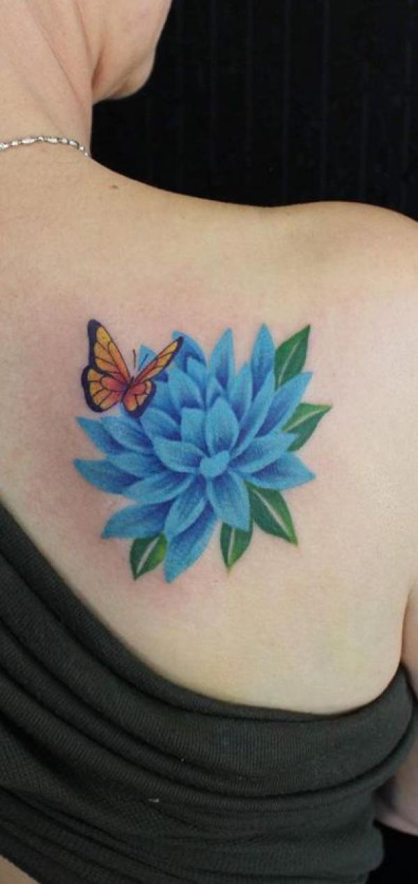 A butterfly perch on the blue water lily