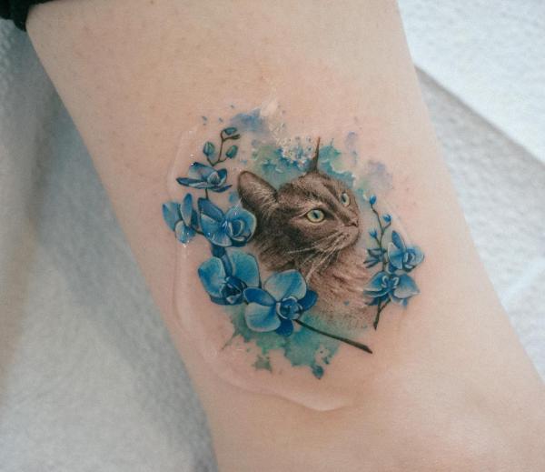 A cat surrounded by blue orchid flowers