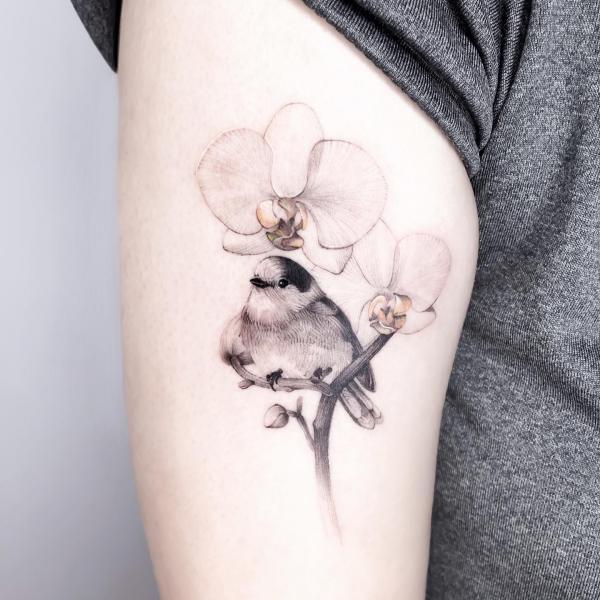 A cute robin perched on a branch of orchid