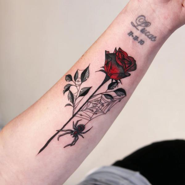 A stem of rose with spiderweb