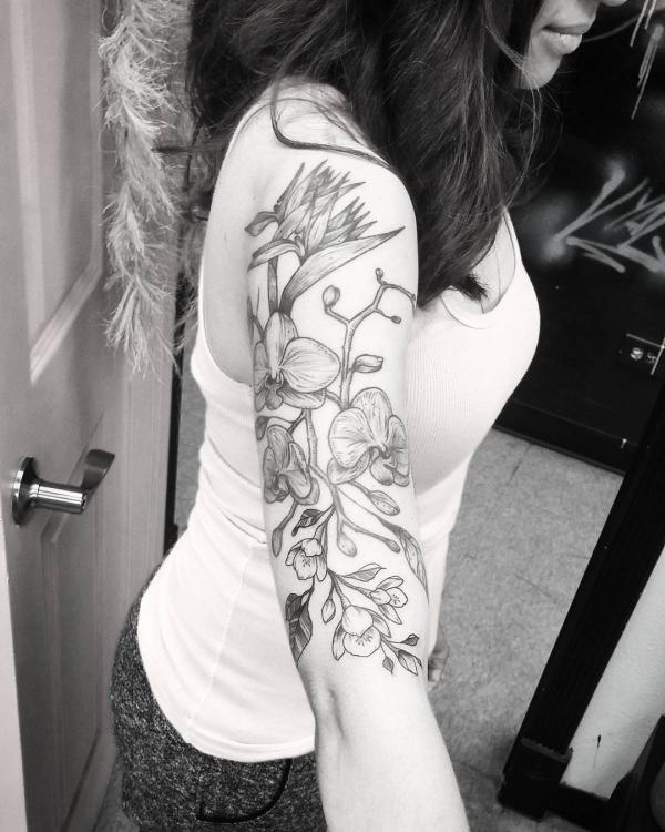 Bird of paradise and orchid