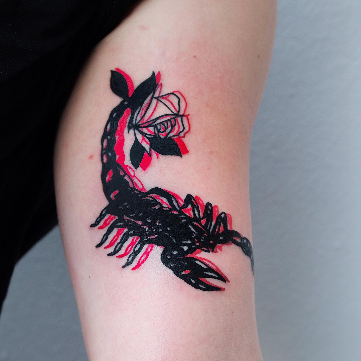 Black scorpion and rose with red shadow