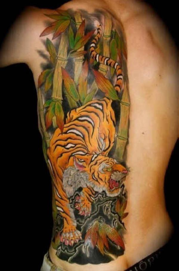 Colorful Japanese Tiger and bamboo tattoo on one side of the back