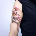 Colorful honeysuckles with berries