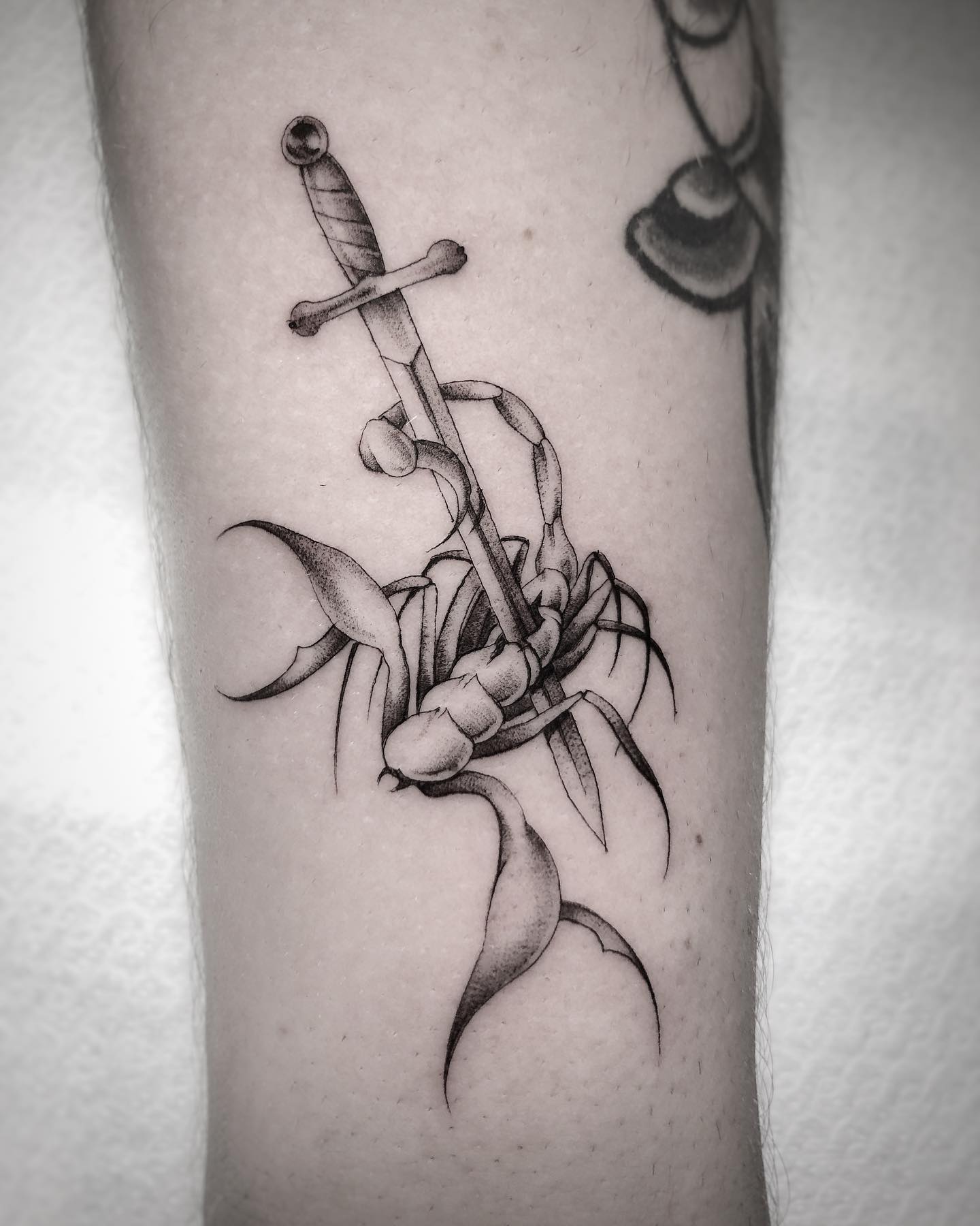 Dagger through a scorpion