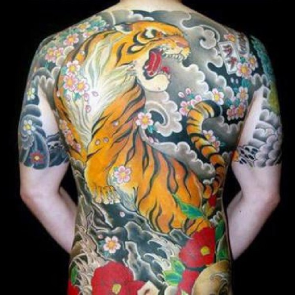 Japanese tiger in clouds with cherry blossoms