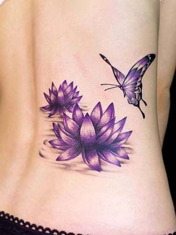 Purple water lily with a butterfly