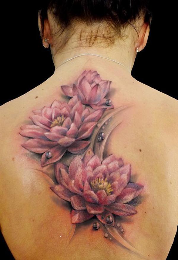 Realistic water lily with dew on the back