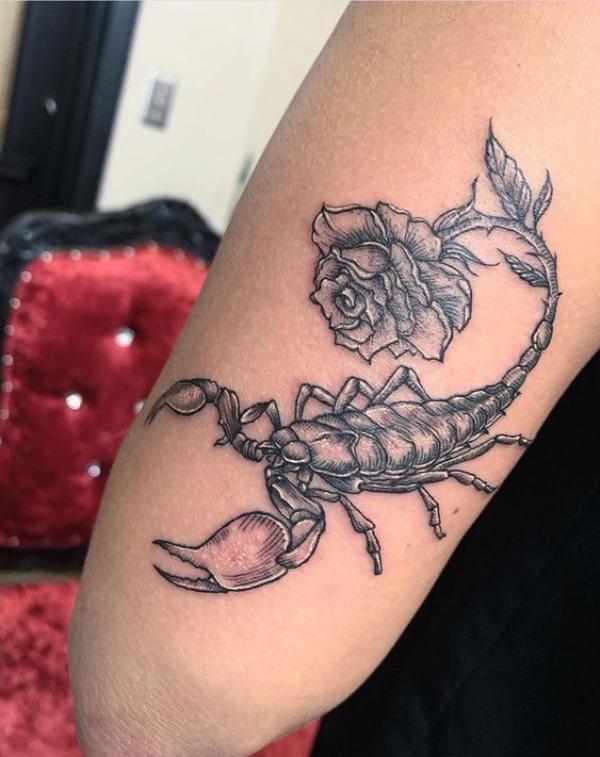 Scorpion with a rose tail