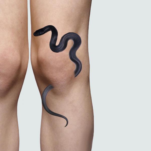 A snake around the knee