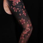 Pink cherry blossoms on black background