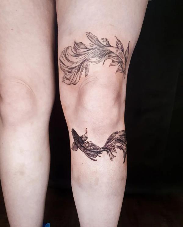 Yin and Yang Kois above and below knee