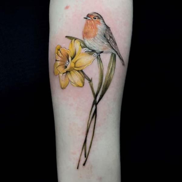 A bird perched on the leaf of daffodil