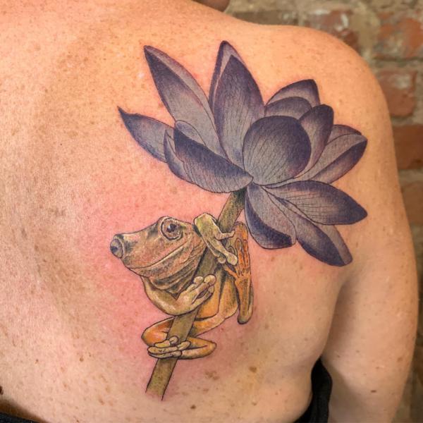 A frog on a lotus flower