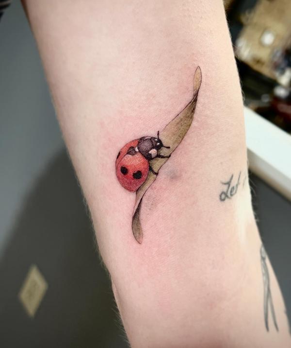 Tattoo Republic - Little finger bug #ladybird #ladybirdtattoo #ladybug  #ladybugtattoo #fingertat #tattooart #tattoosofinstagram #tattoosociety # tattoos #tattoo #inked #inkedup #dermalizepro #hustlebutterdeluxe  #blackdogrotary #canecorsorotary ...