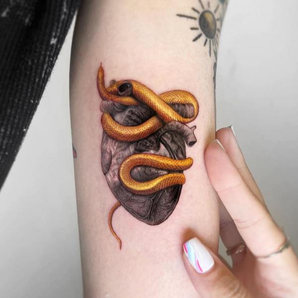 A snake coiling around a heart