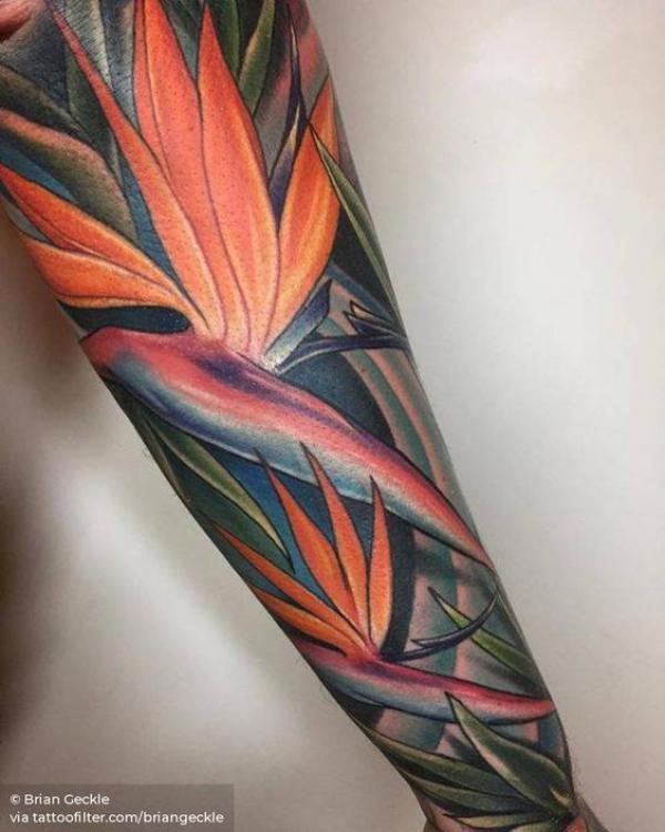 Bird of paradise forearm tattoo