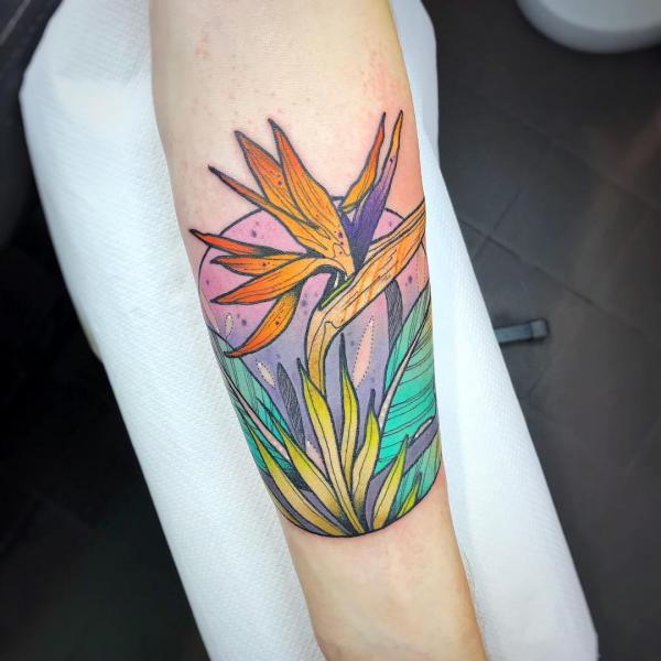 Bird of paradise illustration tattoo