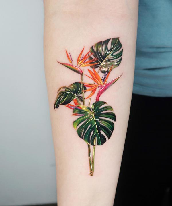 Bird of paradise with leaves