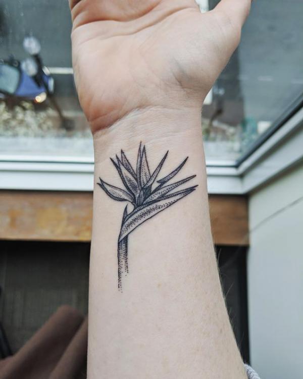 Black and grey bird of paradise drawing tattoo on wrist
