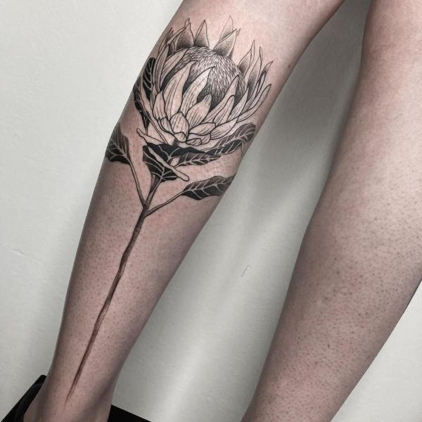 30 Beautiful Protea Tattoo Designs with Meaning | Art and Design