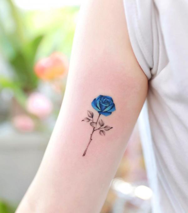 Small Blue Rose