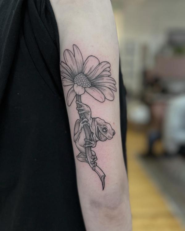 Frog and daisy sketchy tattoo