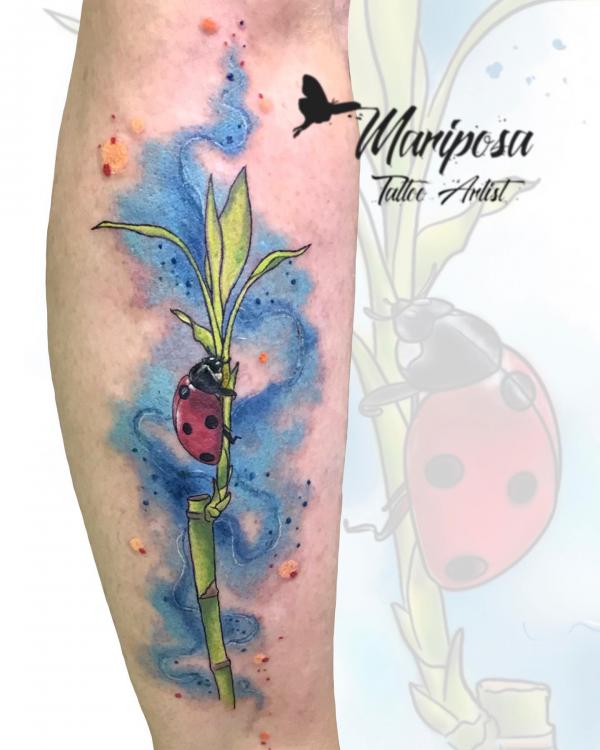 20 top Ladybug Tattoo Simple ideas in 2024