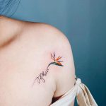 Minimalist bird of paradise tattoo