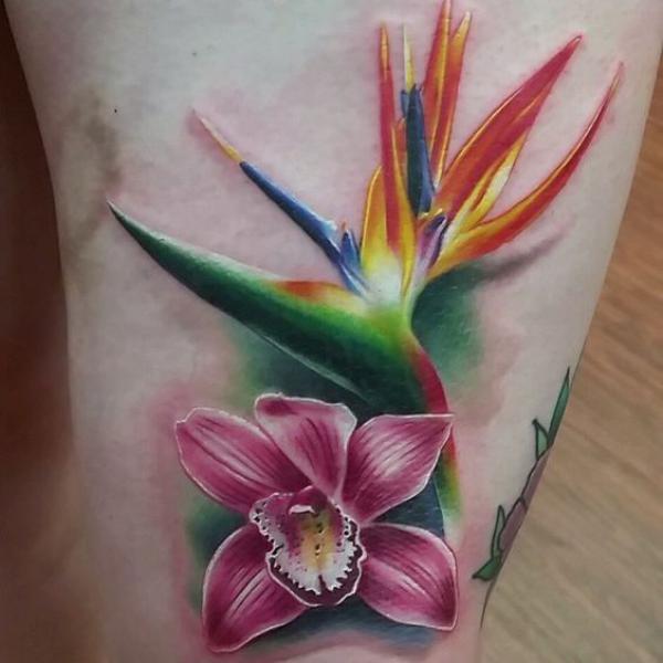 Phalaenopsis and bird of paradise
