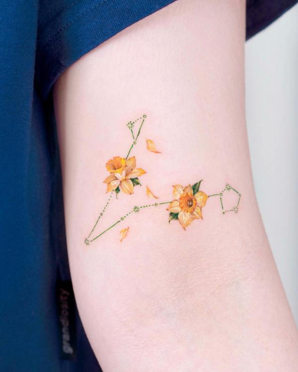 Pisces constellation with daffodil flowers