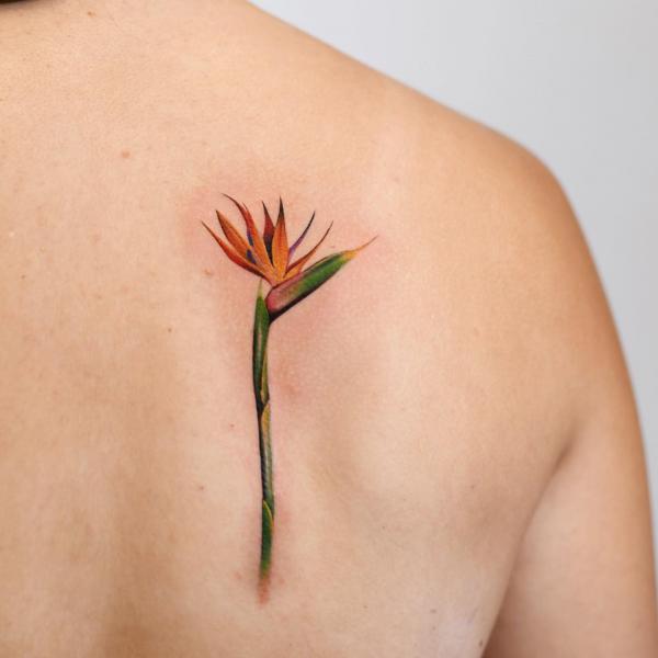 Single bird of paradise tattoo