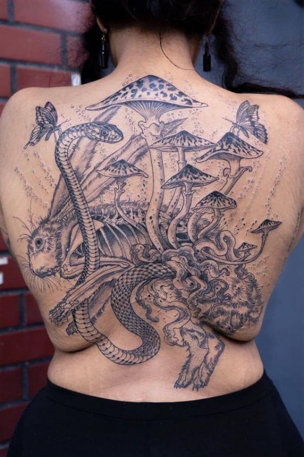 Snake and mushroom on a rabbit skeleton