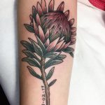 Vintage protea with date tattoo