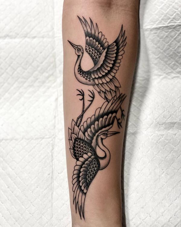 A pair of dancing cranes