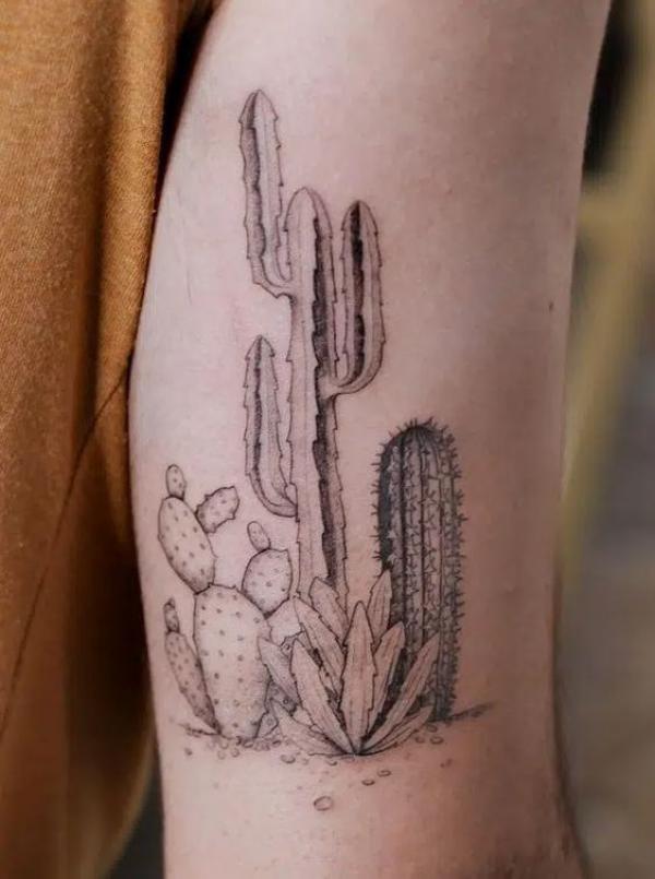 Tattoo cactus  Succulent tattoo, Cactus tattoo, Cactus tattoo small