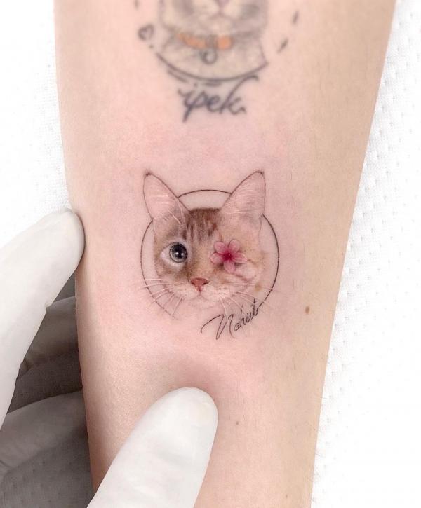 Realistic cat face with one eye covered with a cherry blossom
